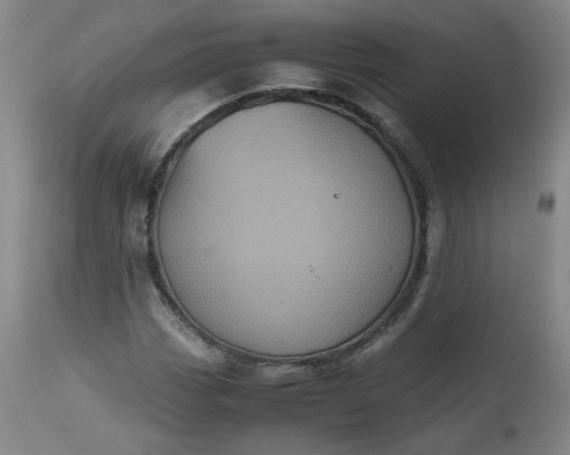 X0000112511113200908311326