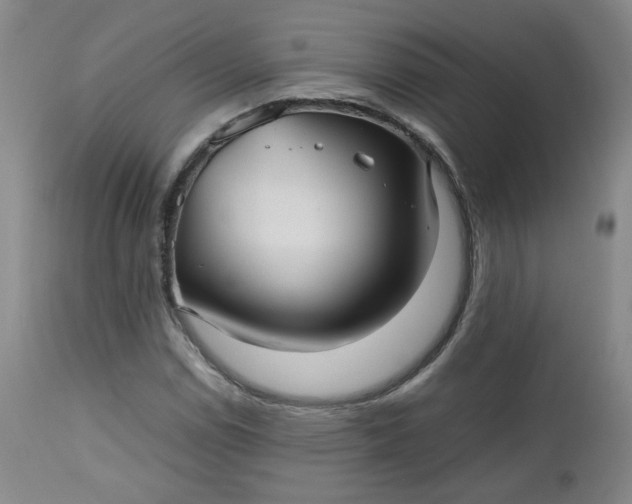 X0000112511114200908311326