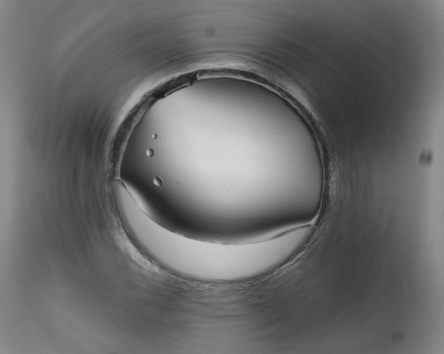 X0000112511116200908311326