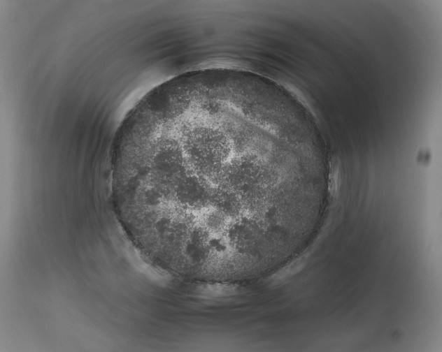 X0000112511117200908311326