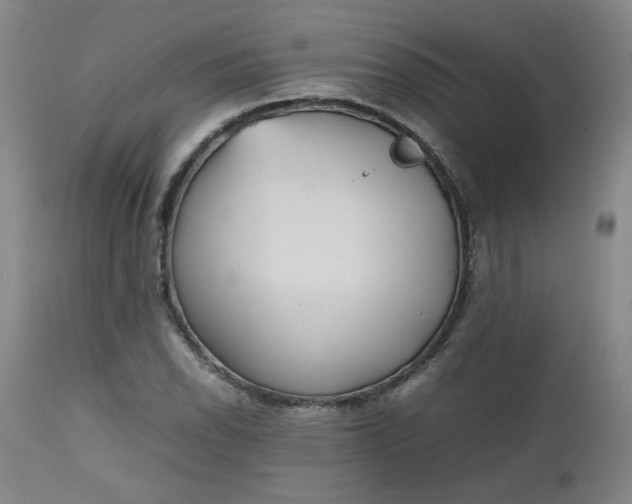 X0000112511118200908311326