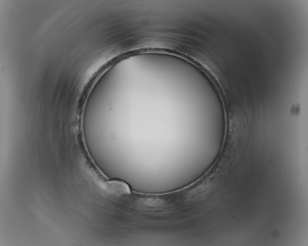 X0000112511119200908311326