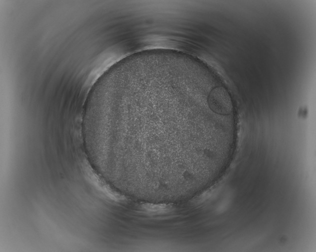 X0000112511121200908311326