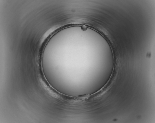 X0000112511122200908311326