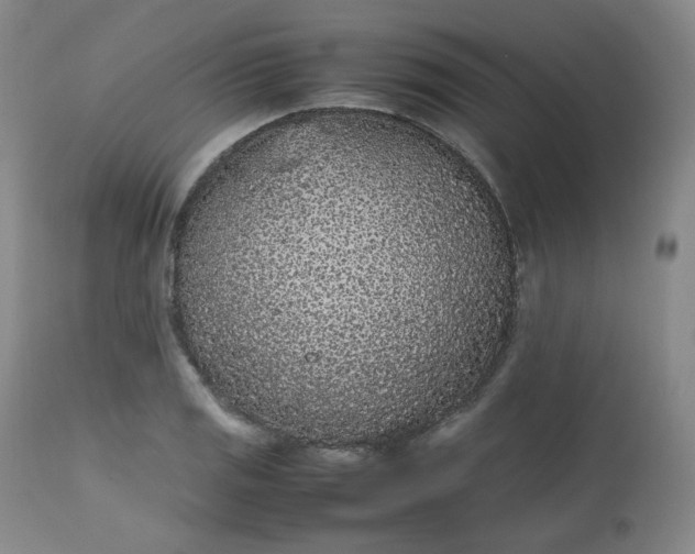 X0000112511125200908311326