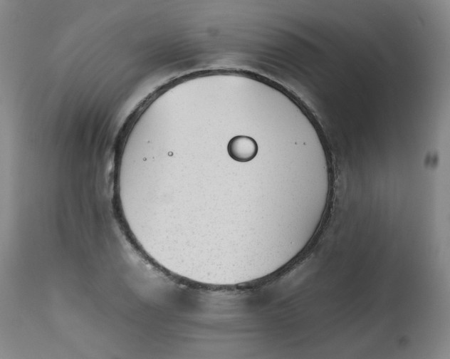 X0000112511126200908311326