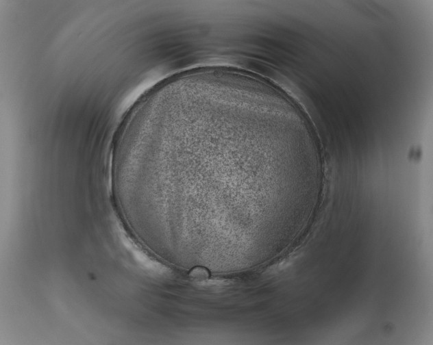 X0000112511127200908311326