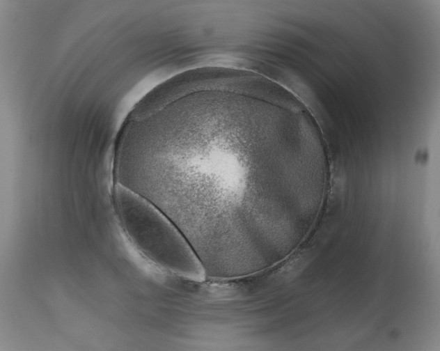 X0000112511128200908311326