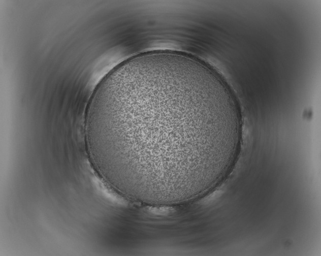 X0000112511129200908311326