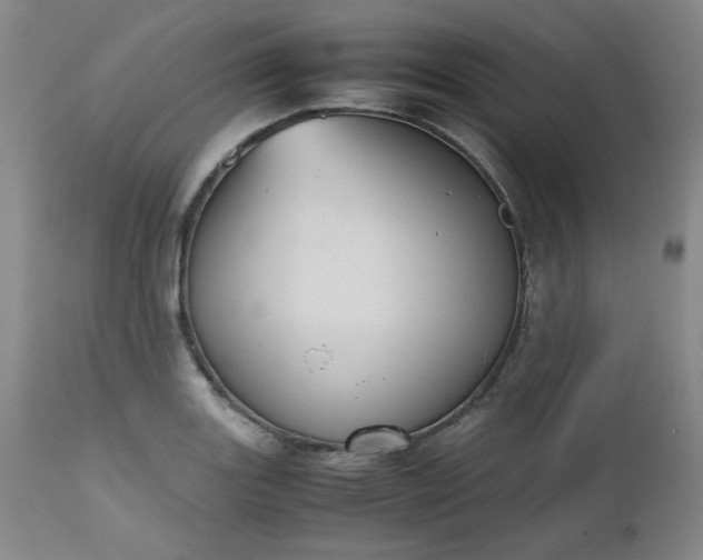 X0000112511131200908311326