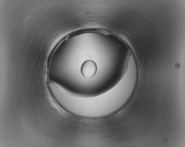 X0000112511132200908311326