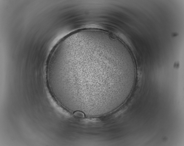 X0000112511133200908311326