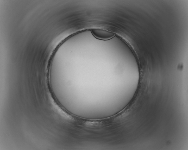 X0000112511135200908311326