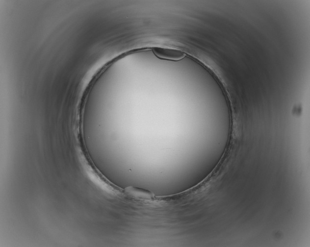 X0000112511136200908311326