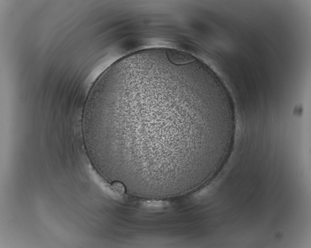 X0000112511137200908311326