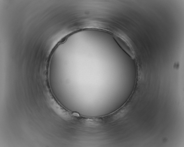 X0000112511138200908311326