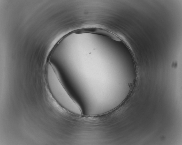 X0000112511140200908311326