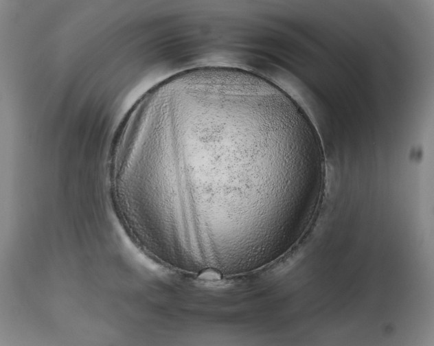 X0000112511141200908311326