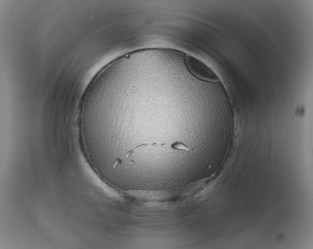 X0000112511142200908311326