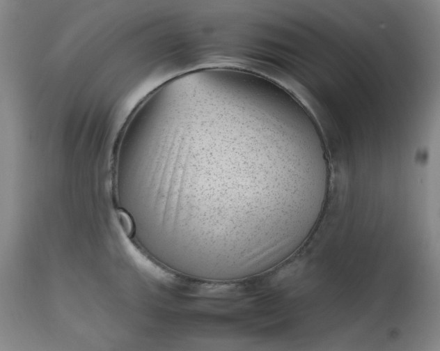 X0000112511143200908311326