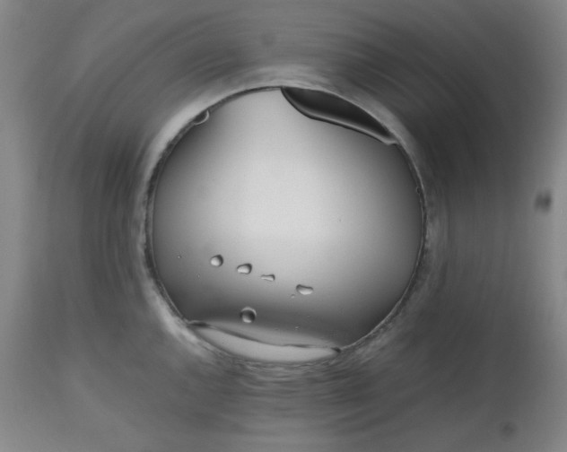 X0000112511144200908311326