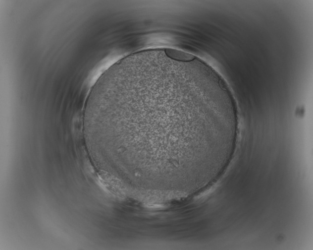 X0000112511145200908311326