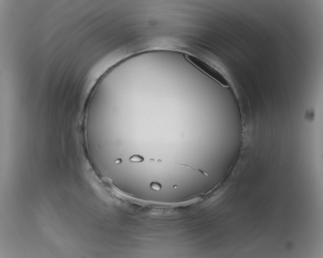 X0000112511146200908311326