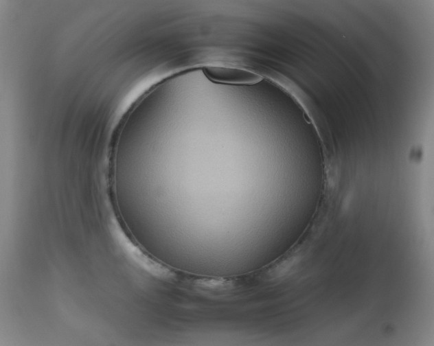 X0000112511147200908311326