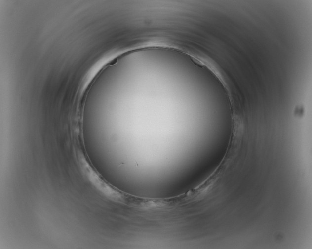 X0000112511148200908311326