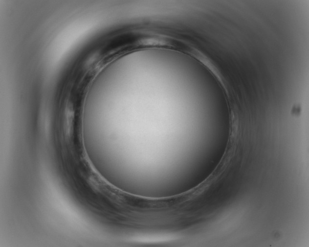 X0000112511151200908311326