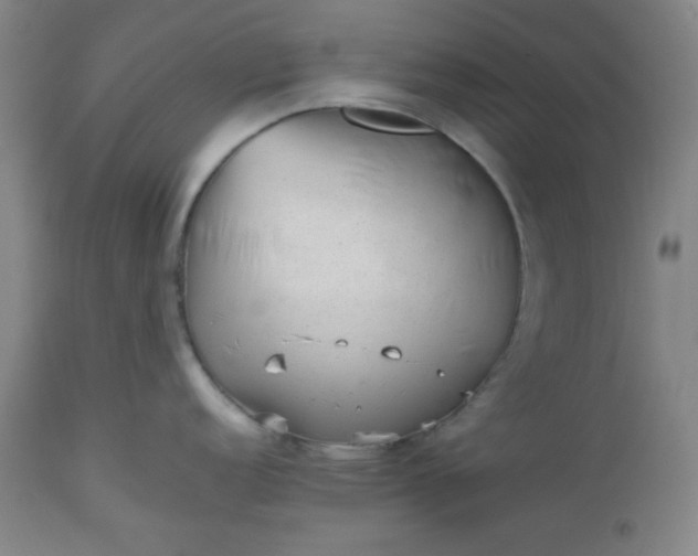 X0000112511152200908311326