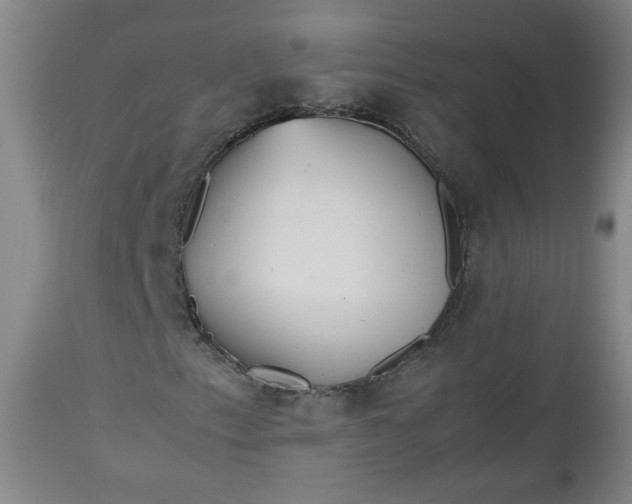 X0000112511153200908311326