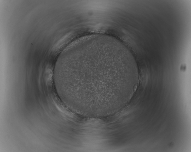 X0000112511154200908311326