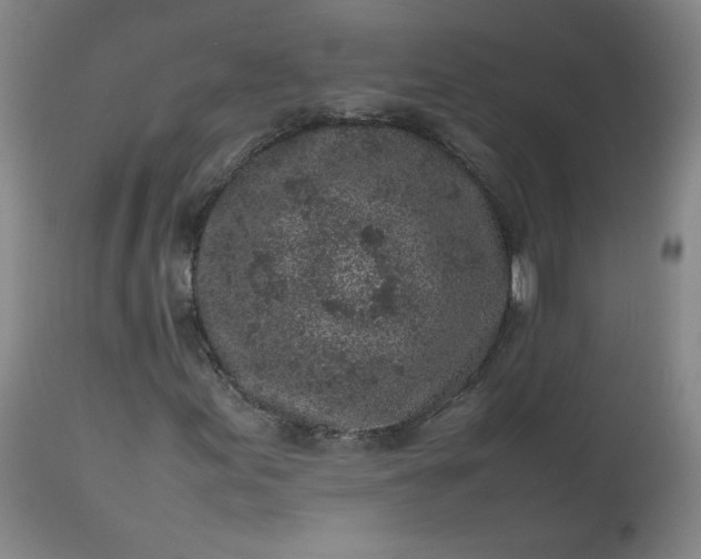 X0000112511155200908311326