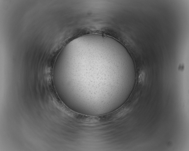 X0000112511156200908311326