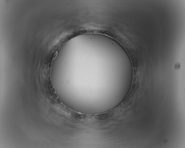 X0000112511157200908311326