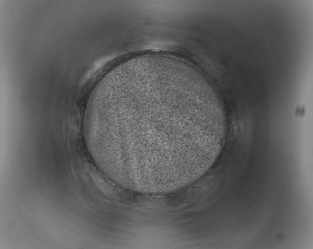 X0000112511158200908311326