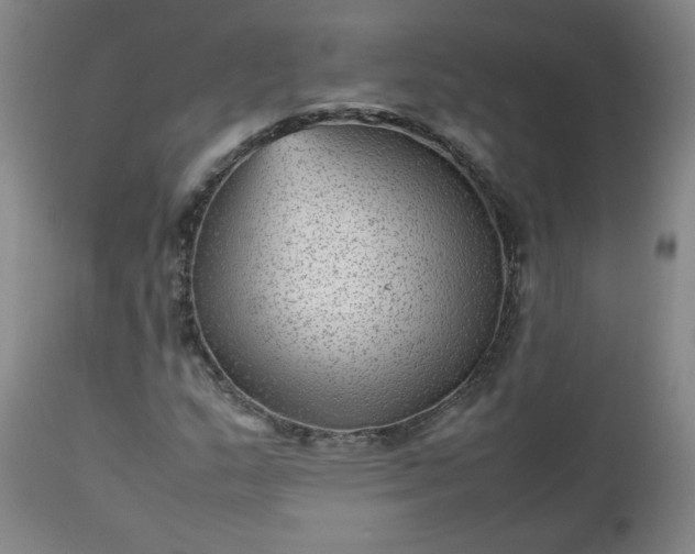 X0000112511159200908311326