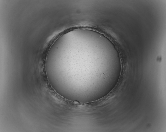 X0000112511160200908311326