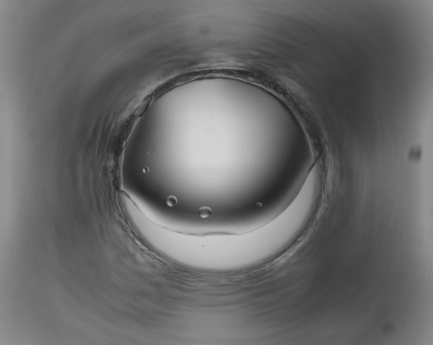 X0000112511161200908311326