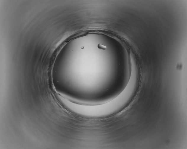 X0000112511162200908311325