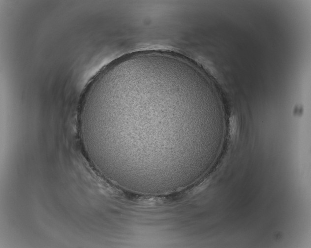 X0000112511165200908311325