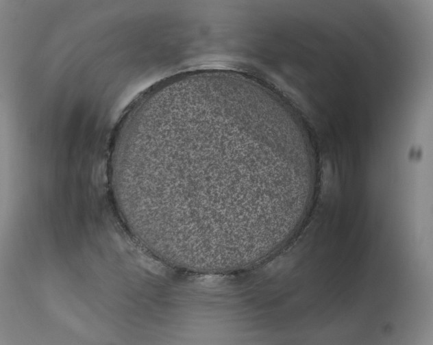 X0000112511166200908311325