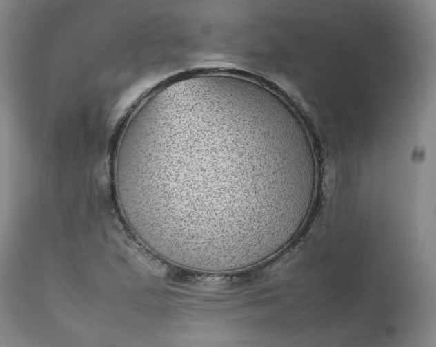 X0000112511167200908311325