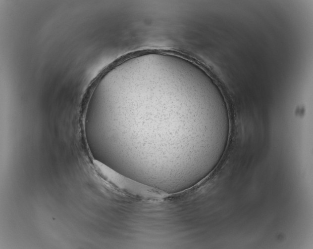 X0000112511168200908311325