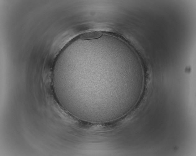 X0000112511169200908311325