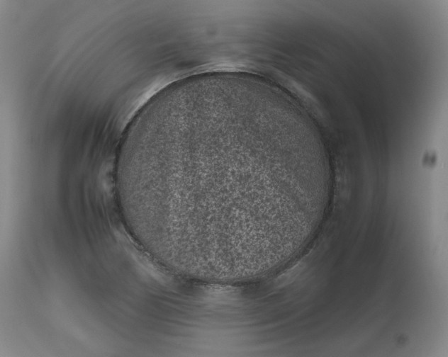 X0000112511170200908311325