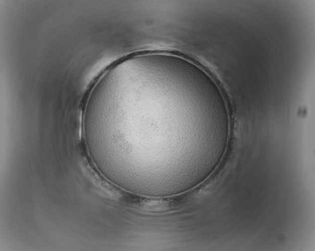 X0000112511171200908311325