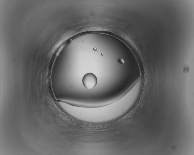 X0000112511173200908311325