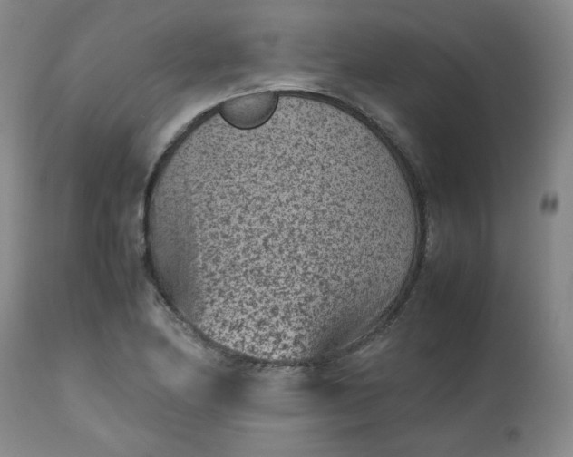 X0000112511174200908311325